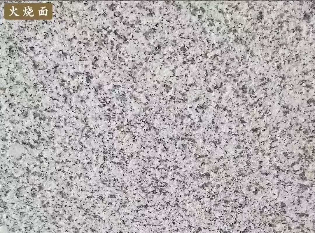 新疆白麻火烧面