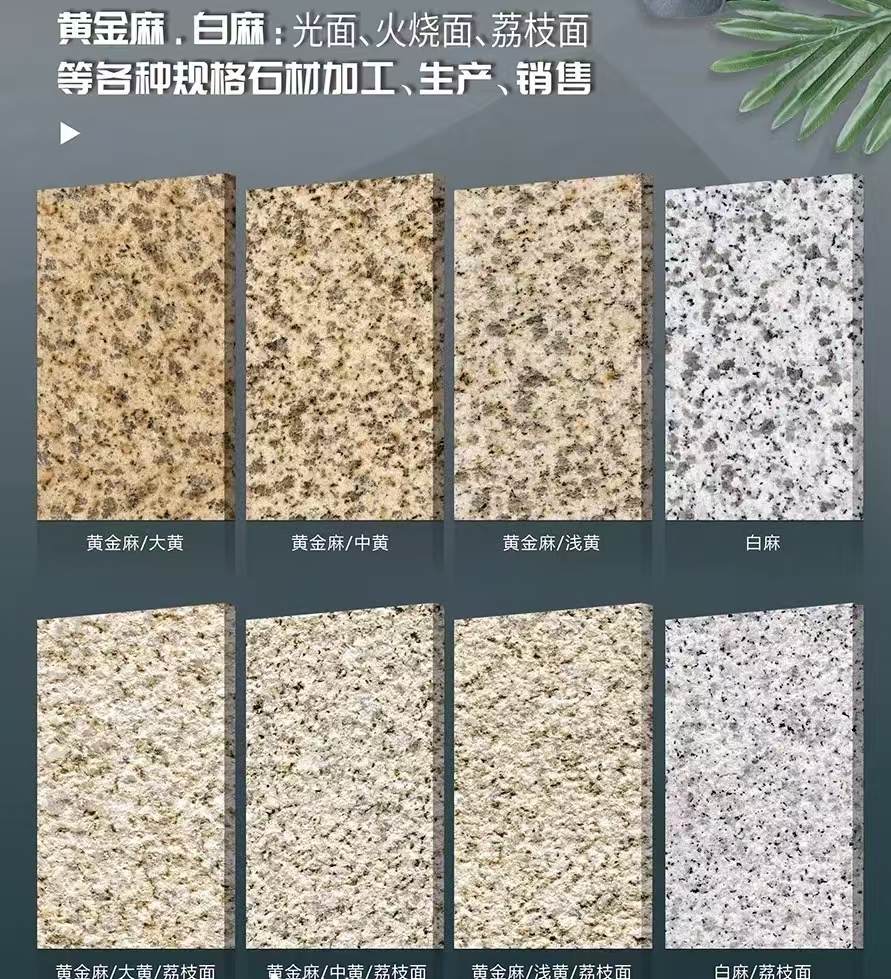 新疆 黄金麻白麻样品展示