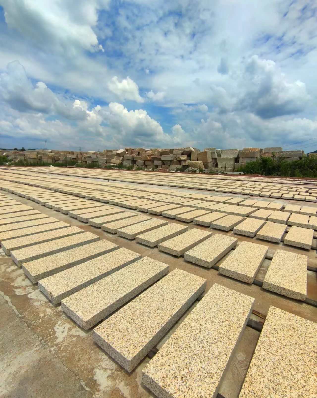 新疆 黄金麻花岗岩荔枝面地铺石防护中